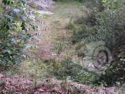 Unser Feldparcour